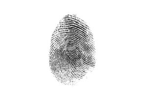 fingerprint